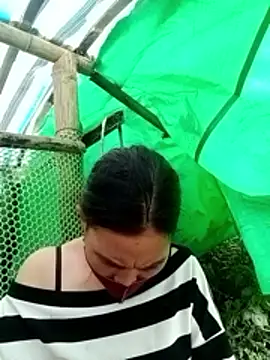 cicnci online show from November 12, 2025, 3:07 am