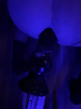 BottomCamp online show from February 3, 2026, 12:42 am