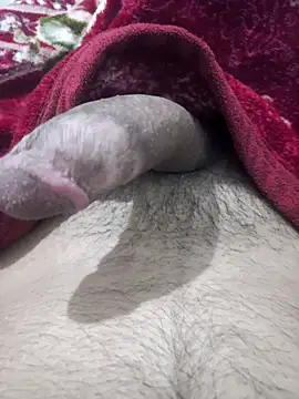 Snapshot of Abodi12aa77 chatting on October 5, 2025, 11:46 pm Abodi12aa77 online show from October 5, 2025, 11:46 pm