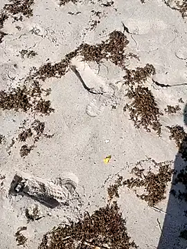 sarahkat86 online show from October 4, 2025, 2:37 pm