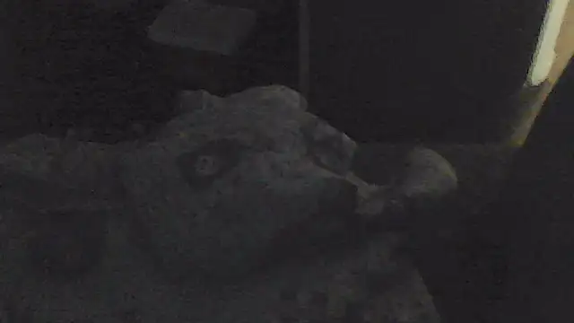 Snapshot of sarahkat86 chatting on November 13, 2025, 2:05 pm sarahkat86 online show from November 13, 2025, 2:05 pm