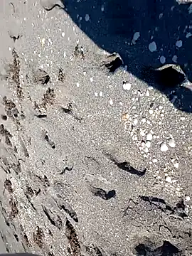 Snapshot of sarahkat86 chatting on November 14, 2025, 6:28 pm sarahkat86 online show from November 14, 2025, 6:28 pm