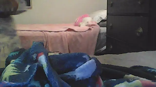 Snapshot of sarahkat86 chatting on January 10, 2026, 2:35 am sarahkat86 online show from January 10, 2026, 2:35 am