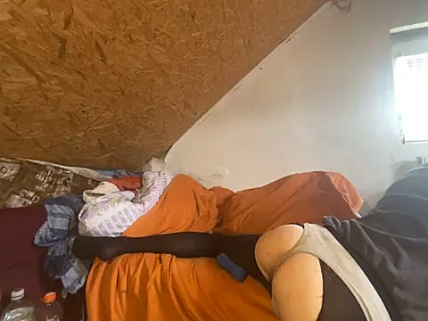 Salon1986 online show from March 11, 2026, 12:44 pm