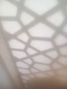 bullut06 online show from February 4, 2026, 11:38 am