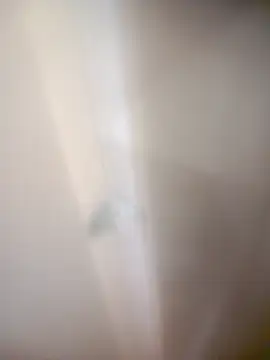 bullut06 online show from February 20, 2026, 9:32 am