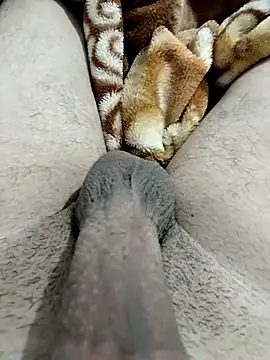 Snapshot of Zepe_12 chatting on February 12, 2026, 11:55 pm Zepe 12 online show from February 12, 2026, 11:55 pm