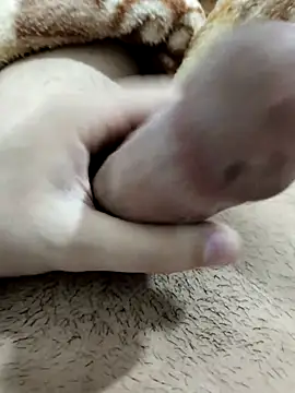 Snapshot of Zepe_12 chatting on February 13, 2026, 11:34 pm Zepe 12 online show from February 13, 2026, 11:34 pm