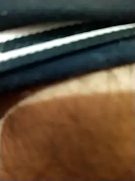 Snapshot of 8inches_DelhiBOY chatting on November 17, 2025, 5:13 am 8inches DelhiBOY online show from November 17, 2025, 5:13 am