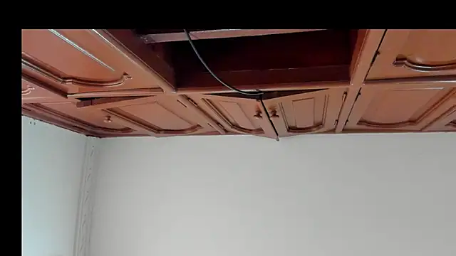 alice  brow online show from October 8, 2025, 2:04 pm