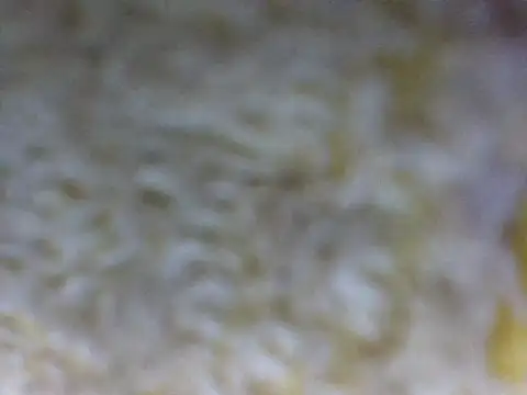 hell1212 25 online show from March 21, 2026, 5:38 pm