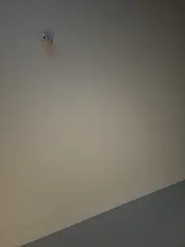 Snapshot of busty_p chatting on September 11, 2025, 9:04 pm busty p online show from September 11, 2025, 9:04 pm