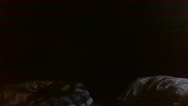 raredick online show from April 13, 2026, 3:39 pm