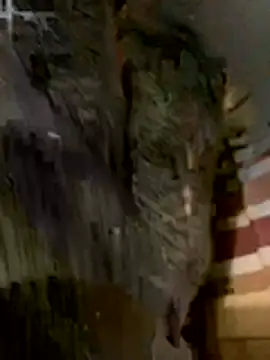 anhye8 online show from February 8, 2026, 3:37 pm