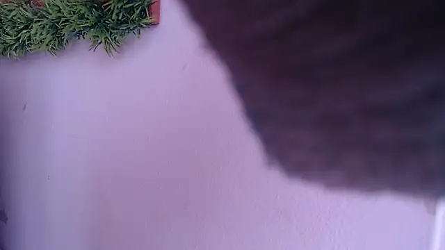 Snapshot of IVONNE_COLLINS33 chatting on September 24, 2025, 1:47 pm IVONNE COLLINS33 online show from September 24, 2025, 1:47 pm