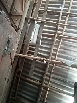 Snapshot of riyanag2 chatting on December 16, 2025, 3:44 am riyanag2 online show from December 16, 2025, 3:44 am