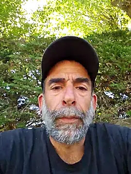 Stingles online show from August 7, 2026, 10:28 am