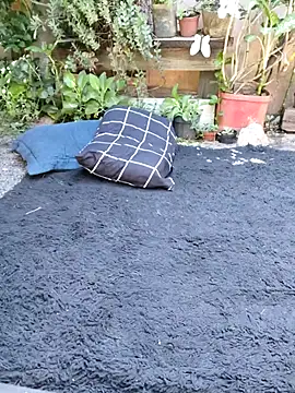 bad wolf28 online show from November 11, 2025, 12:16 pm