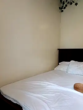 Nedambale online show from March 11, 2026, 11:38 am