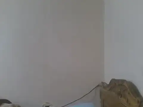 elpoop7305 online show from June 3, 2026, 10:07 am
