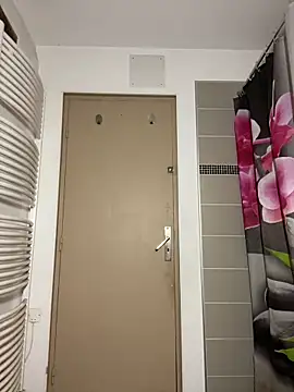 Snapshot of dasilva_elsa21 chatting on November 3, 2025, 12:02 am dasilva elsa21 online show from November 3, 2025, 12:02 am