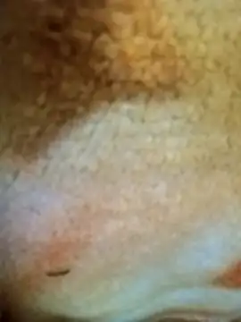 HOT-MUNDA online show from December 17, 2025, 1:33 am