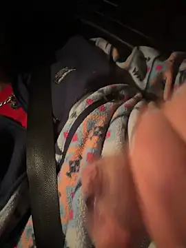 high3ndlowlife online show from November 29, 2025, 4:04 am