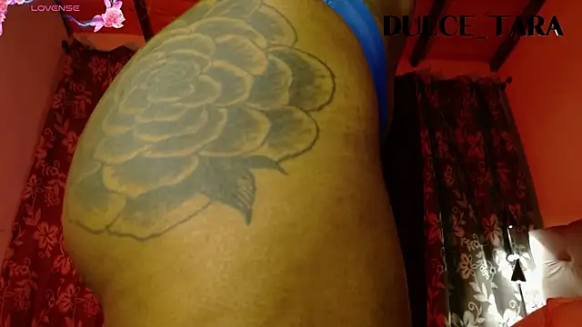 Dulce Tara online show from November 29, 2025, 11:52 pm