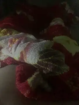 gaabpxn online show from April 11, 2026, 3:44 am