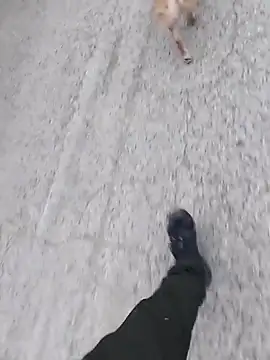 Axelitoc online show from March 5, 2026, 6:09 am