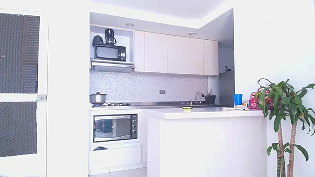 Something pork4 online show from November 30, 2025, 8:46 pm