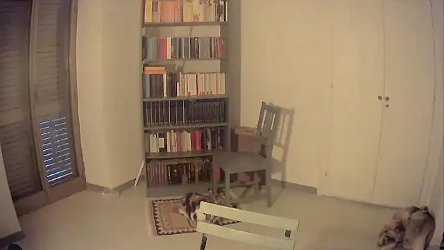 Snapshot of Mrkurt86 chatting on October 26, 2025, 4:02 pm Mrkurt86 online show from October 26, 2025, 4:02 pm