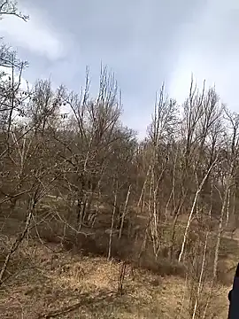 kot766 online show from March 25, 2026, 12:22 pm