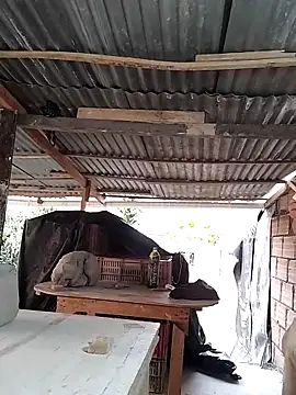 hoteder online show from April 15, 2026, 12:12 pm