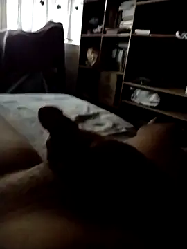 CadencedMimesis online show from September 27, 2025, 8:30 am