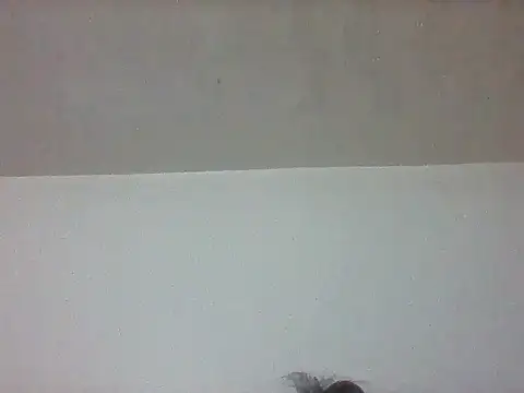 pretty349 online show from April 20, 2026, 1:14 pm