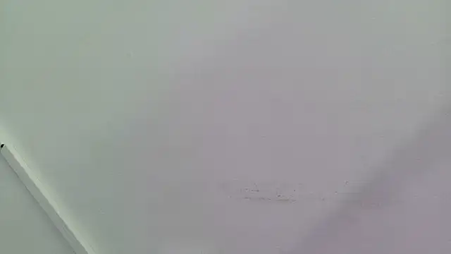 Lizbeth Rouse online show from September 28, 2025, 12:54 pm