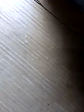 liza-212 online show from October 10, 2025, 9:41 am