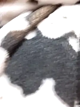 Snapshot of Laxmi_89 chatting on November 27, 2025, 3:52 am Laxmi 89 online show from November 27, 2025, 3:52 am