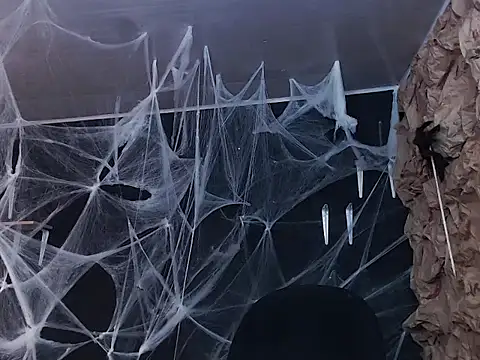 kattypurple online show from October 11, 2025, 1:42 pm