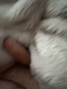 cumshot foryou online show from March 7, 2026, 4:04 pm