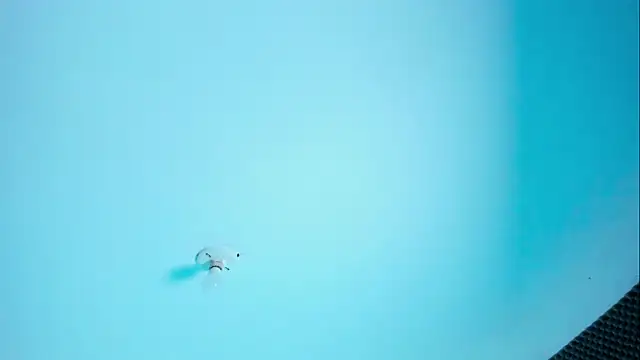 Im naho online show from March 30, 2026, 10:00 pm