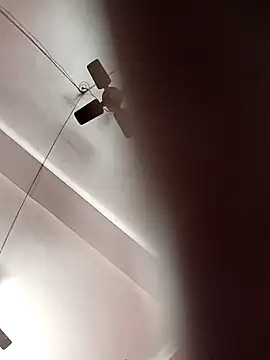 Panchi2 online show from November 4, 2025, 4:00 am