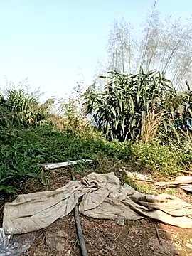 Snapshot of linda_bae00 chatting on March 2, 2026, 7:15 am linda bae00 online show from March 2, 2026, 7:15 am