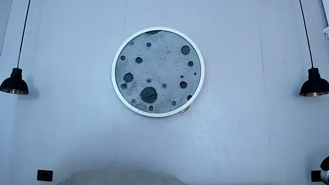 Snapshot of Roxy_Medina chatting on October 9, 2025, 3:37 am Roxy Medina online show from October 9, 2025, 3:37 am