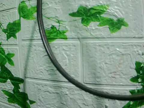 daros453 online show from November 3, 2025, 2:13 am