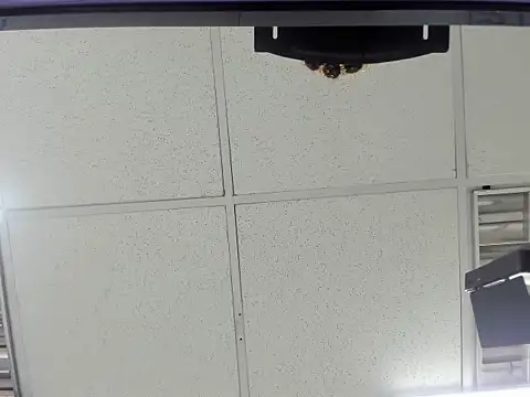 Aisha hotts777 online show from March 20, 2026, 2:49 am