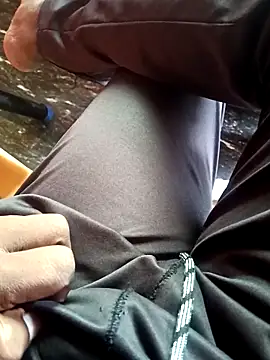 dolphiinn online show from November 26, 2025, 2:12 am