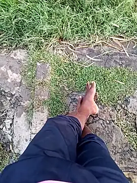 dolphiinn online show from December 23, 2025, 1:03 am