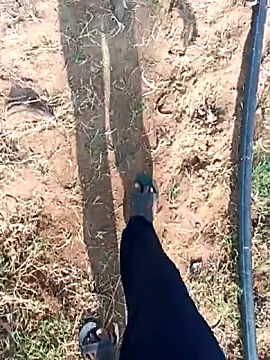 dolphiinn online show from February 25, 2026, 3:16 am